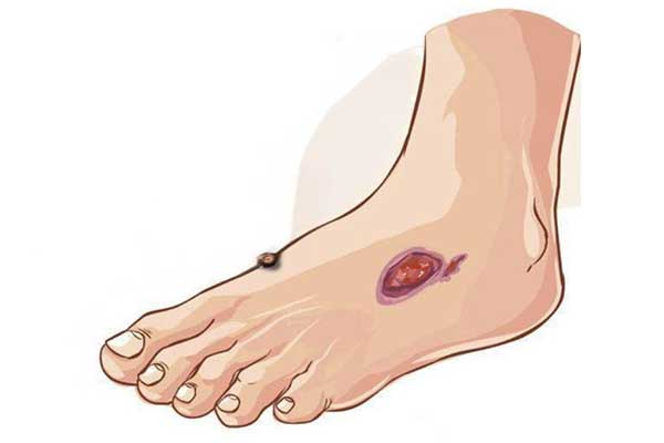 新葡萄(8883·AMG)官方网站