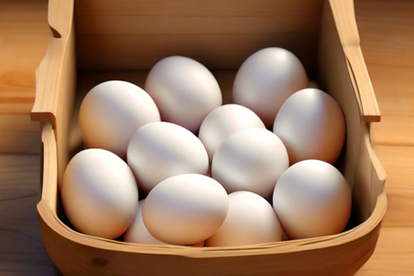 ÐÂÆÏÌÑ(8883¡¤AMG)¹Ù·½ÍøÕ¾