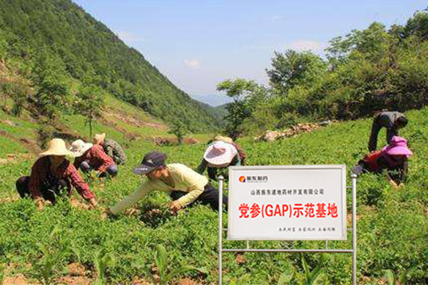 新葡萄(8883·AMG)官方网站