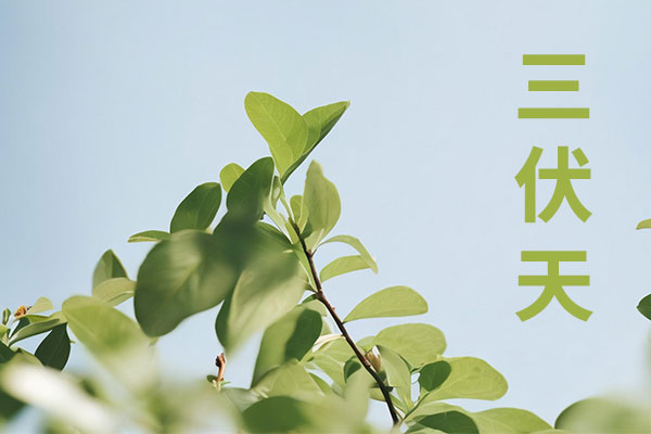 新葡萄(8883·AMG)官方网站