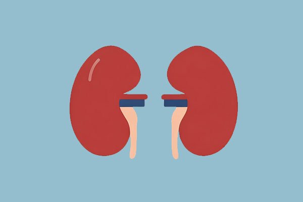 ������(8883��AMG)�ٷ���վ