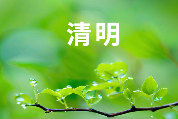 ������(8883��AMG)�ٷ���վ