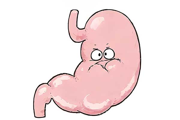 ������(8883��AMG)�ٷ���վ