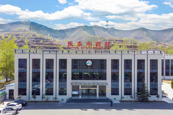 ������(8883��AMG)�ٷ���վ