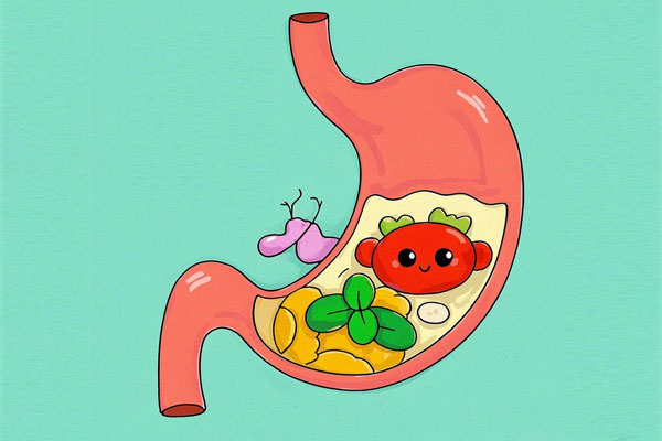 ������(8883��AMG)�ٷ���վ